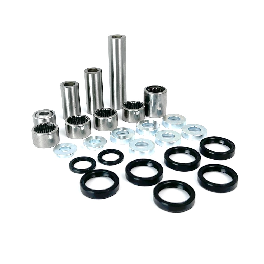 Linkage Rebuild Kit Beta RR 250 (13-25) - Danidrea DA-03232