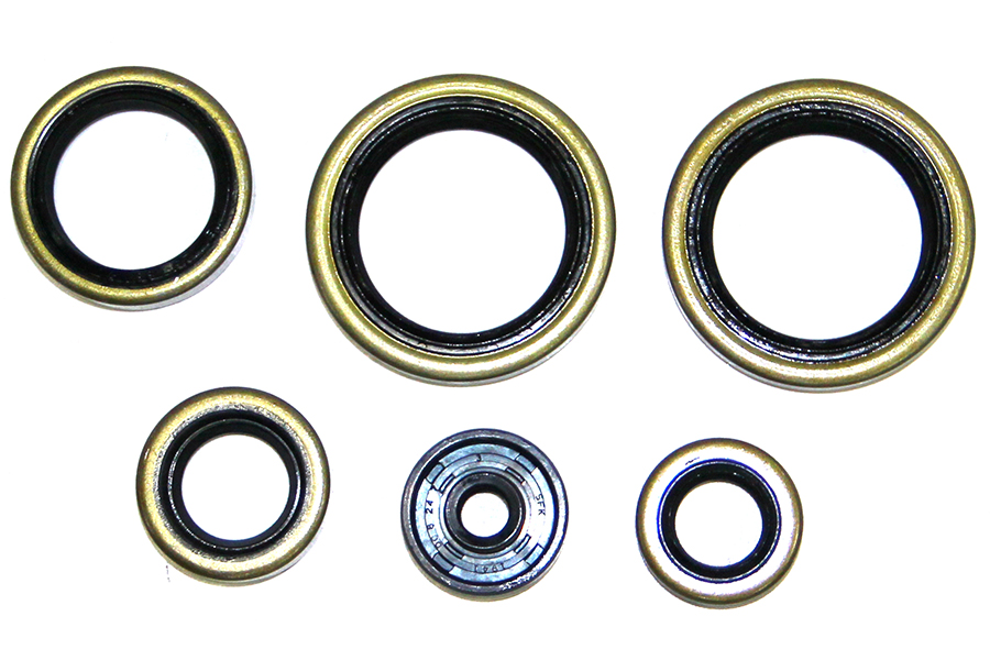 Engine Seal Set NRTeam KTM 144 SX (08) GK8009OS