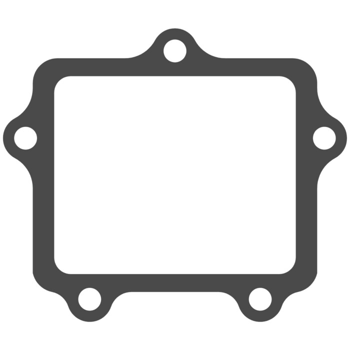 Reed valve Fantic 250 XX (22-25) - V-Force 4 X (gasket only) MTG407