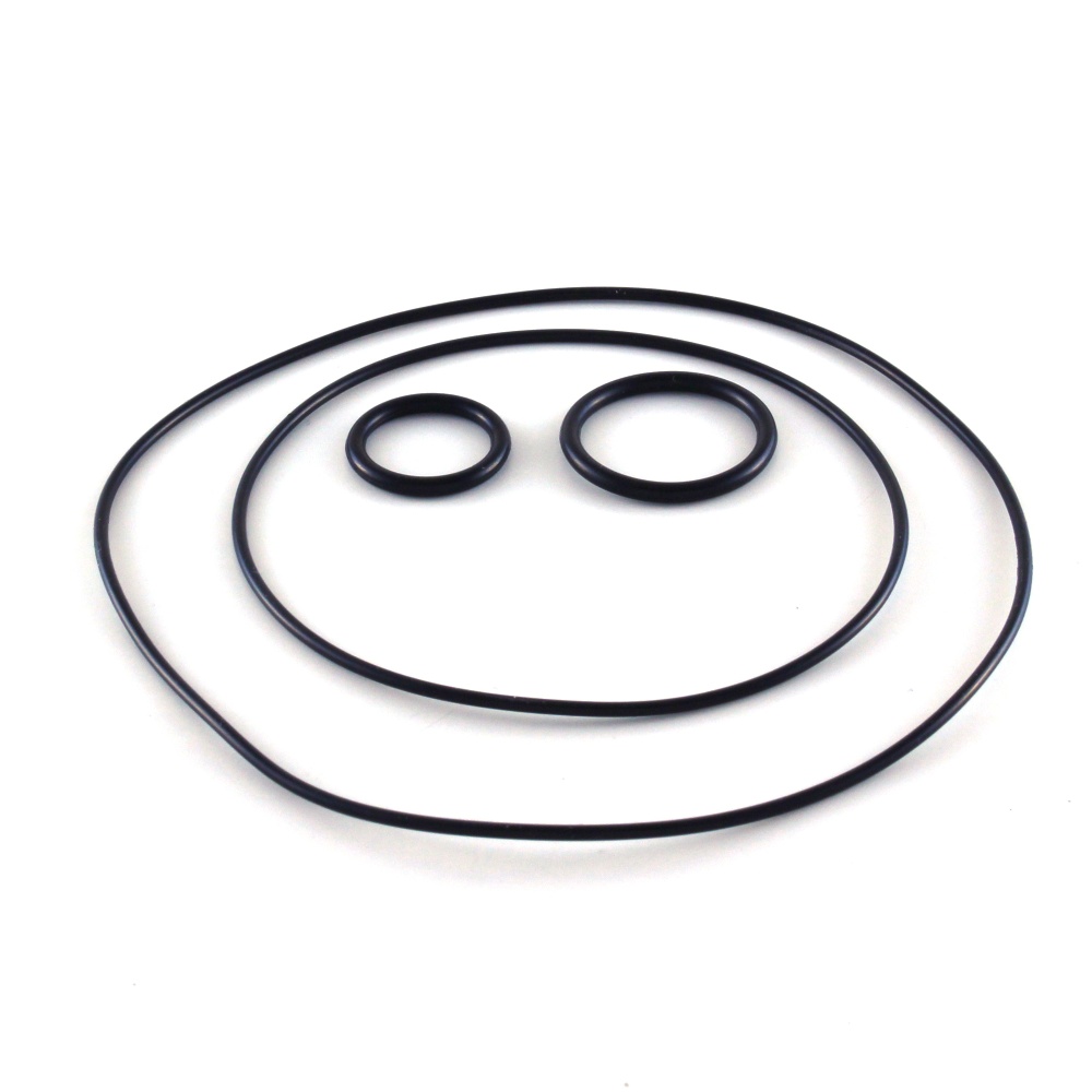 Cylinder head VHM Fantic 300 XE (24-26) - O-Ring Kit SK33221
